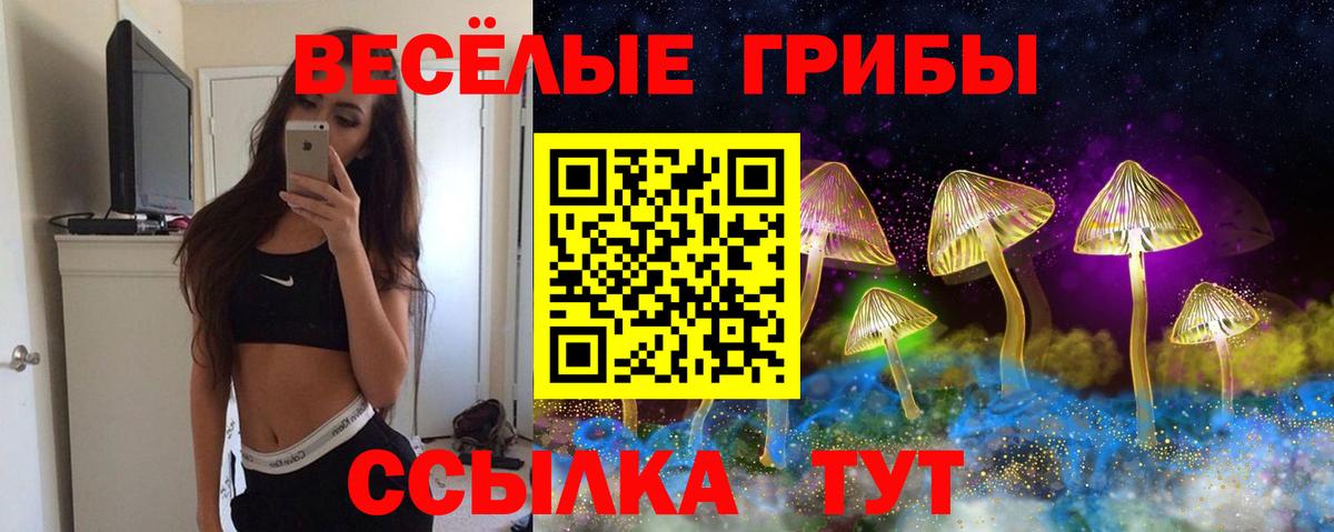 купить наркоту  Псилоцибиновые грибы Psilocybine cubensis  Ангарск  Вход с VPN  Псилоцибиновые грибы Magic Shrooms 